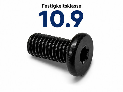 Schraubensatz etz 150 251 - mz,